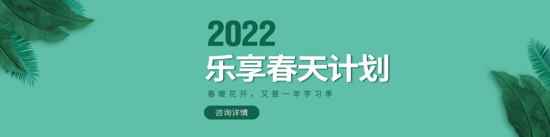 艹逼逼网站免费看